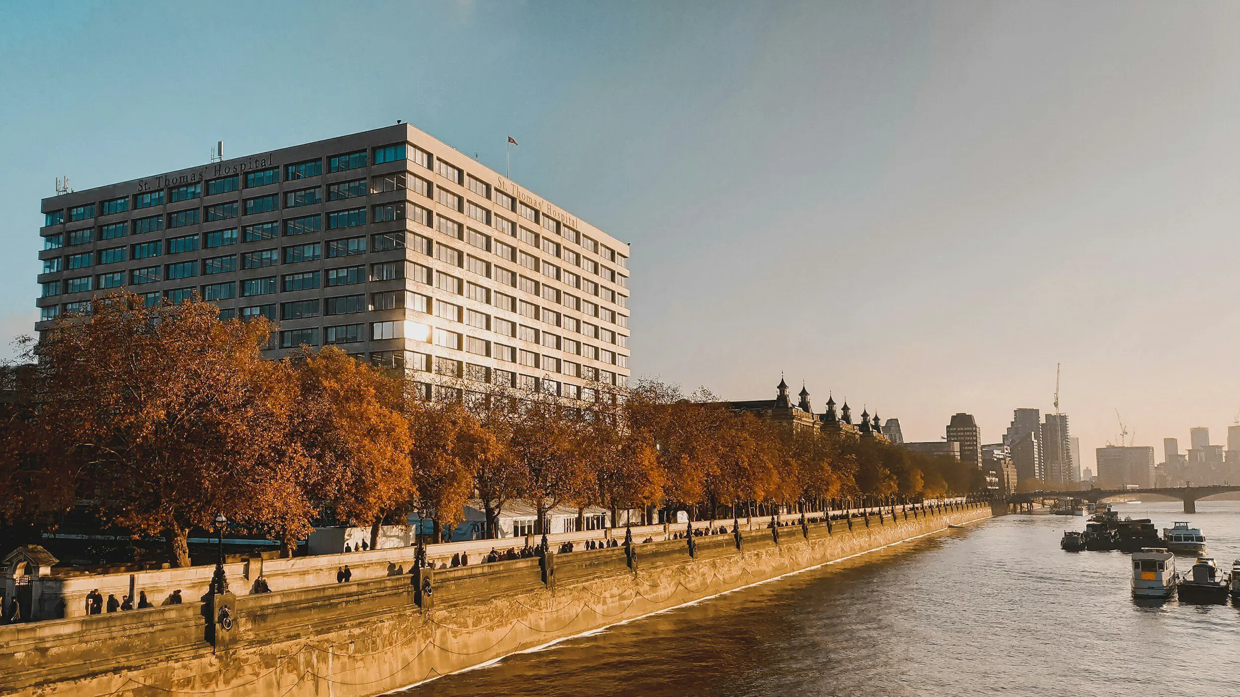 St Thomas hospital UK Expats