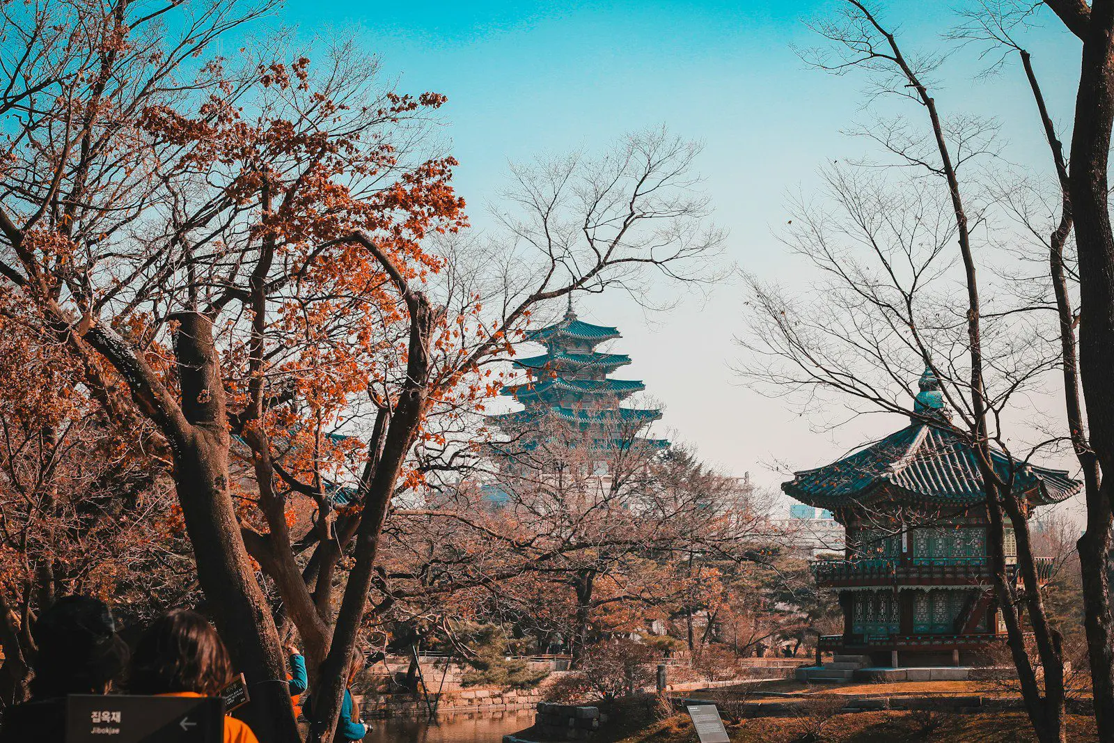 Autumn trees surrounding traditional Korean architecture at Gyeongbokgung Palace in Seoul, South Korea.