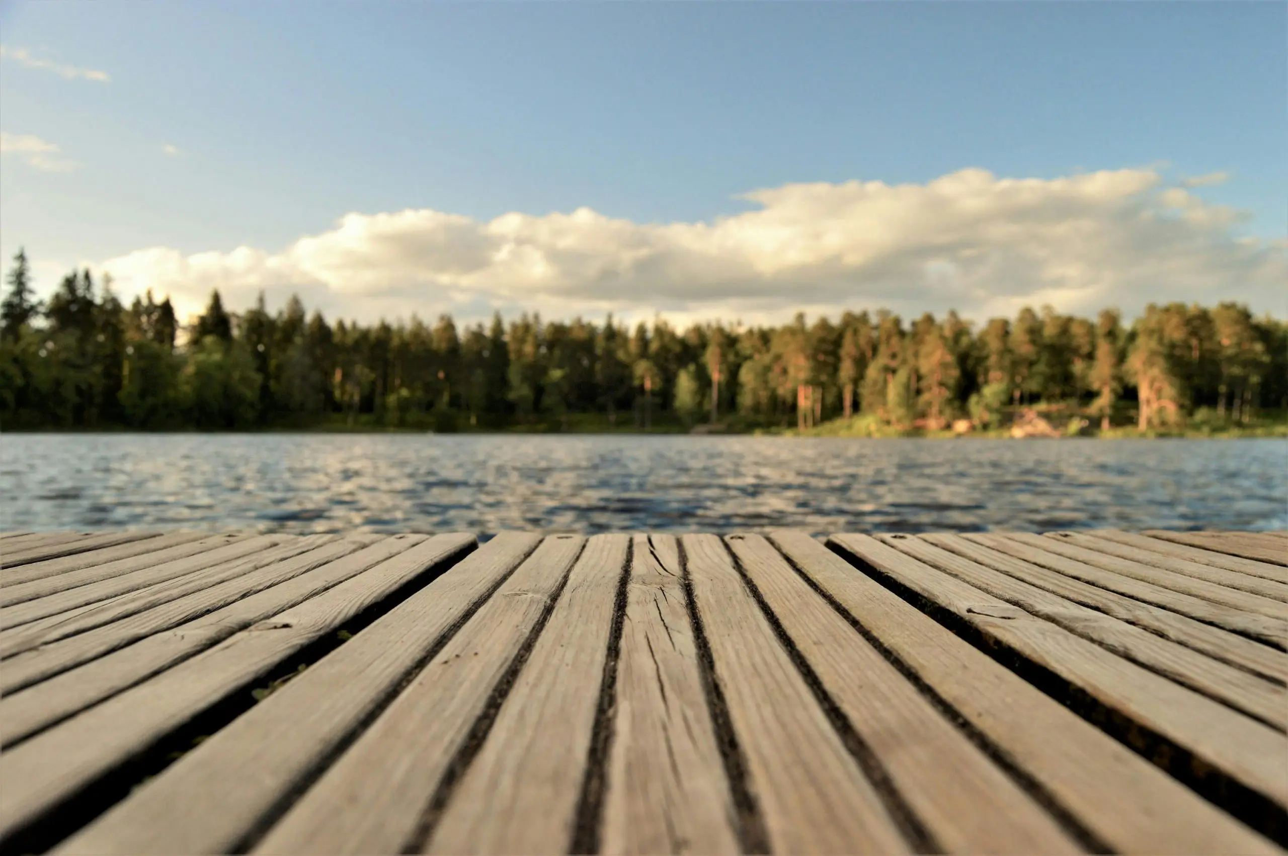 Wooden dock overlooking a calm Swedish lake surrounded by pine forests under a clear summer sky, symbolizing tranquility and natural beauty.