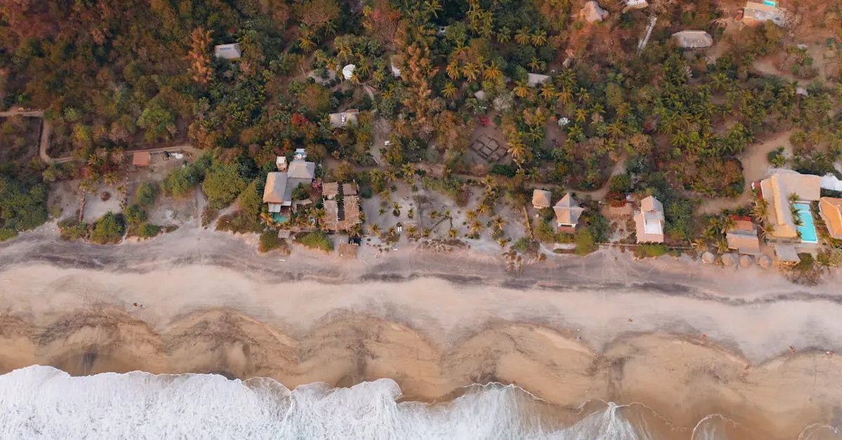 Aerial view of tropical beachfront homes surrounded by palm trees, representing peaceful expat living and the importance of health insurance abroad.