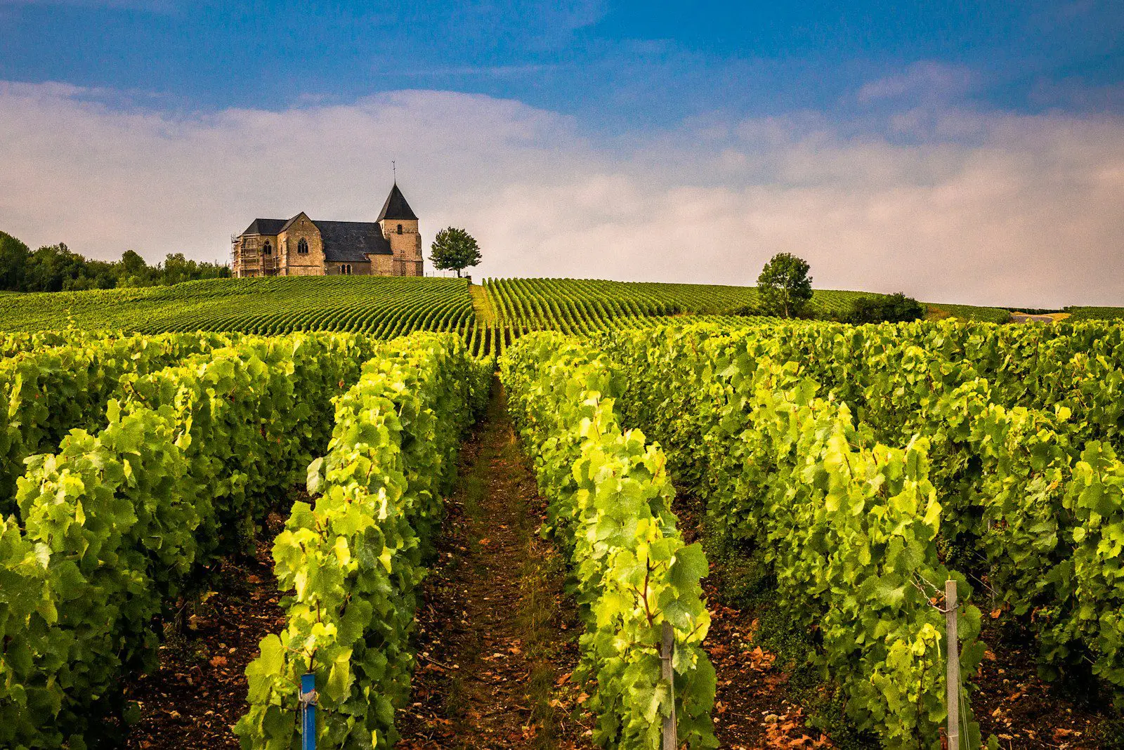 Lush vineyard with historic chapel in Champagne region, France symbolizing French countryside lifestyle and wine culture.