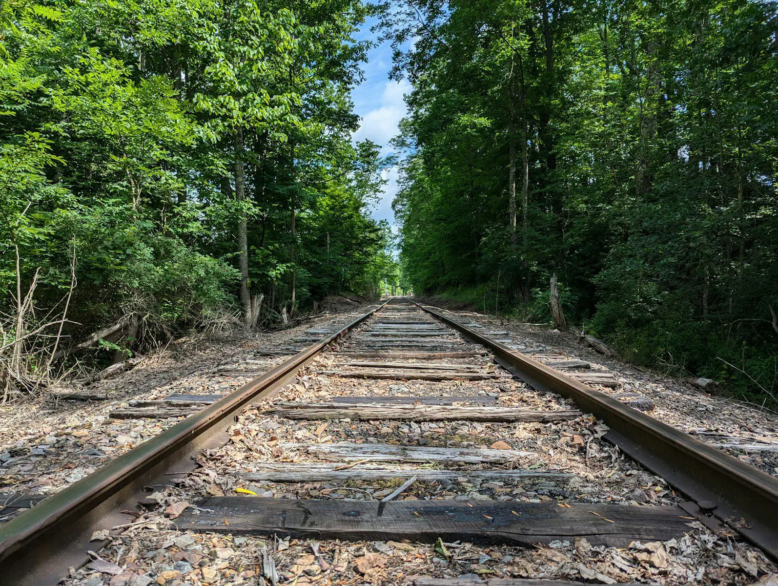Abandoned railway track surrounded by dense forest in upstate New York, symbolizing the state’s natural beauty and rural charm.