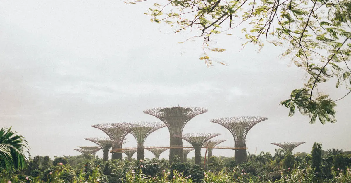 Supertree Grove at Gardens by the Bay surrounded by greenery, showcasing Singapore’s modern architecture and sustainable urban design.