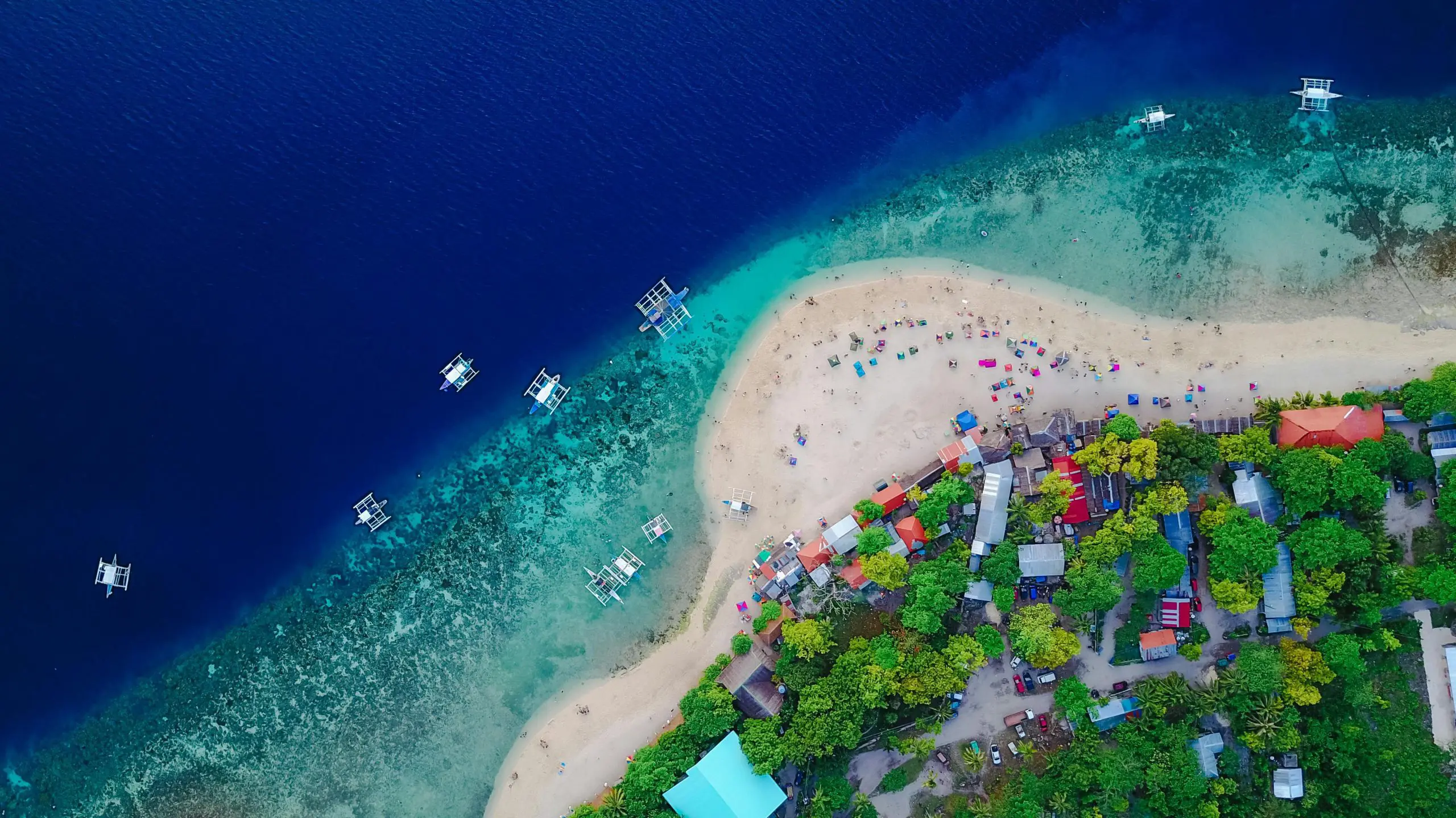 Aerial view of Oslob Beach, Cebu, with turquoise waters, white sand, and colorful boats, showcasing the beauty of coastal Philippines.