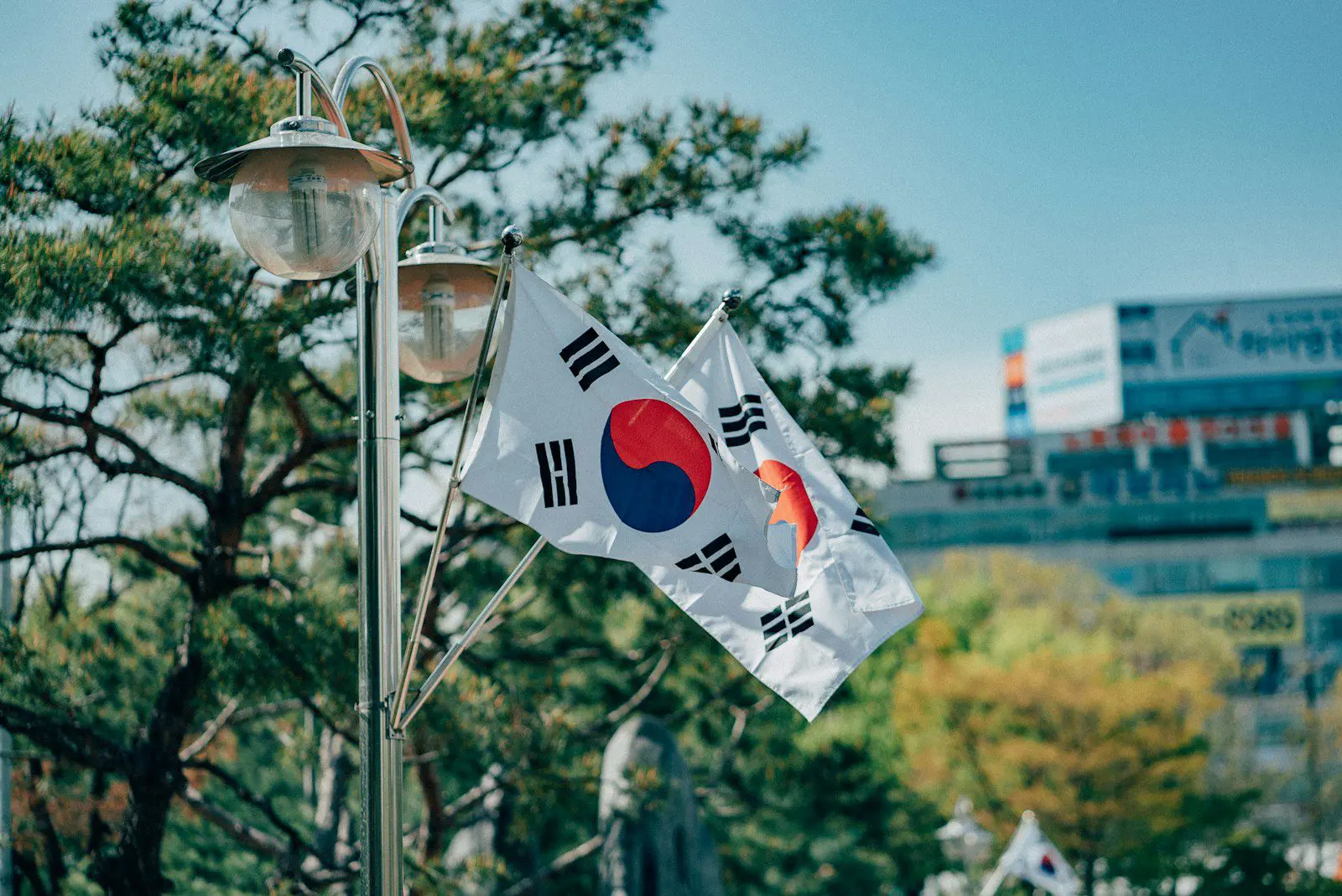 South Korean national flags displayed outdoors, symbolizing national pride and expat life in South Korea.
