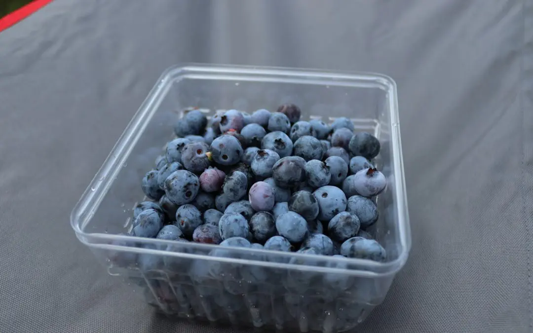 What are functional foods?