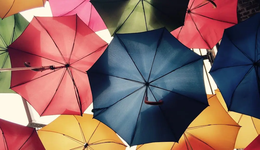 Understanding the Differences Between Travel Insurance, Healthcare Insurance, and GHIC/EHIC for Travelers in Europe