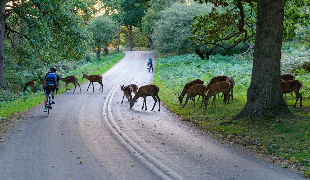 Moving to the UK as Expat