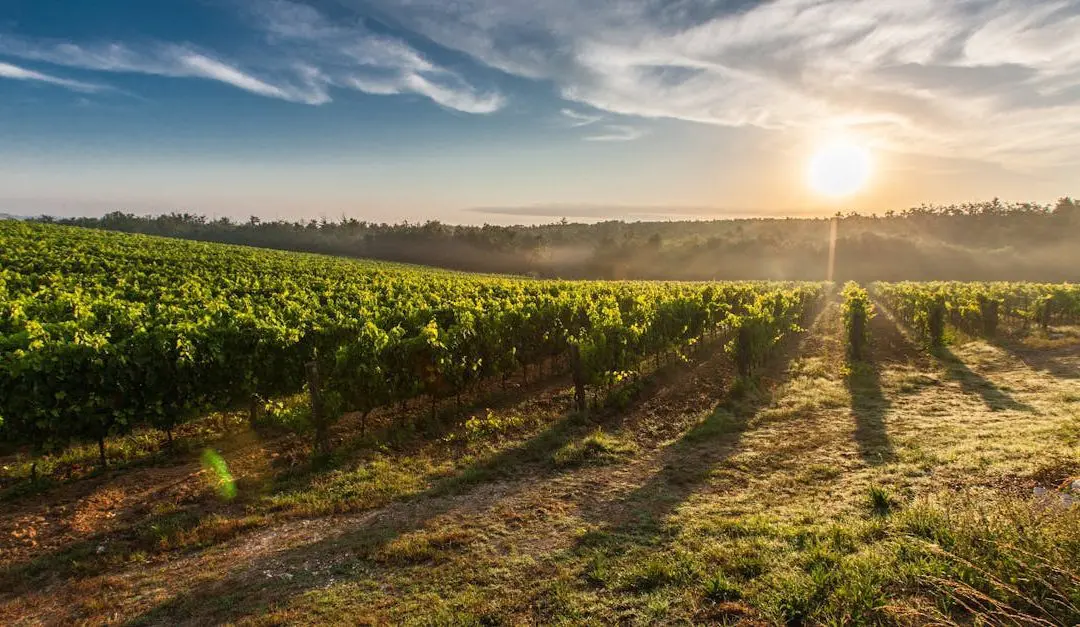 Where to Retire Abroad: 10 Must-Consider Destinations