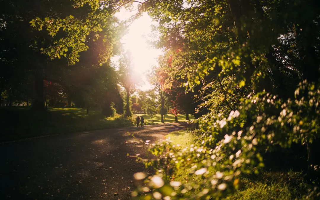 The Cost of Private Health Insurance in the United Kingdom (UK) for US Citizens