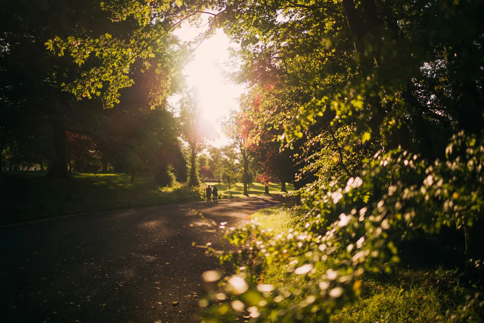 Photo by Nils Nedel Couple walking through a sunlit park surrounded by green trees symbolising healthy lifestyle, wellness, and outdoor wellbeing for expats.