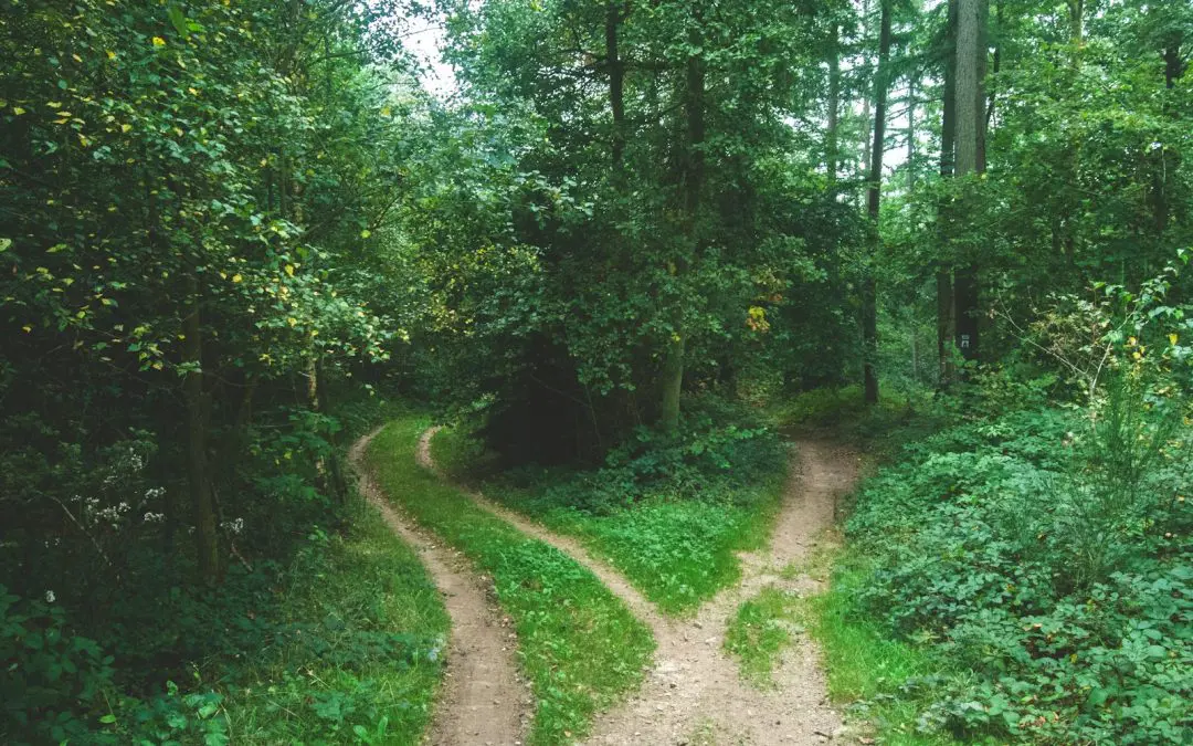 What is Decision Fatigue? And How To Avoid It.