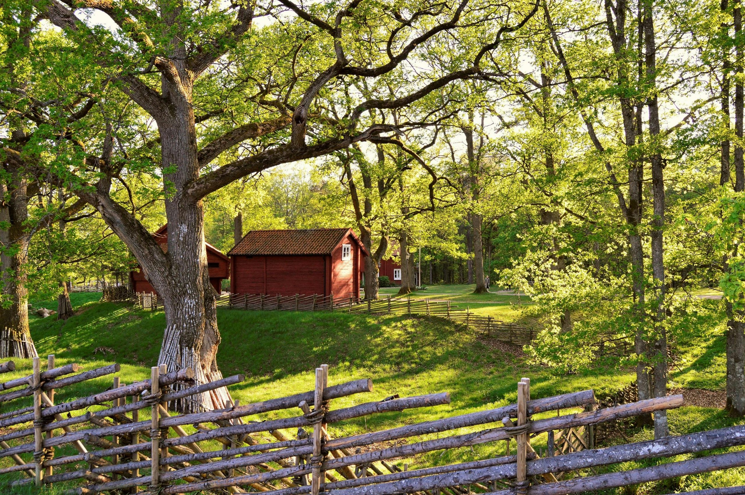 pexels-photo-1101140-1101140 Idyllic Swedish red houses in a sunny summer landscape with greenery and wooden fences.