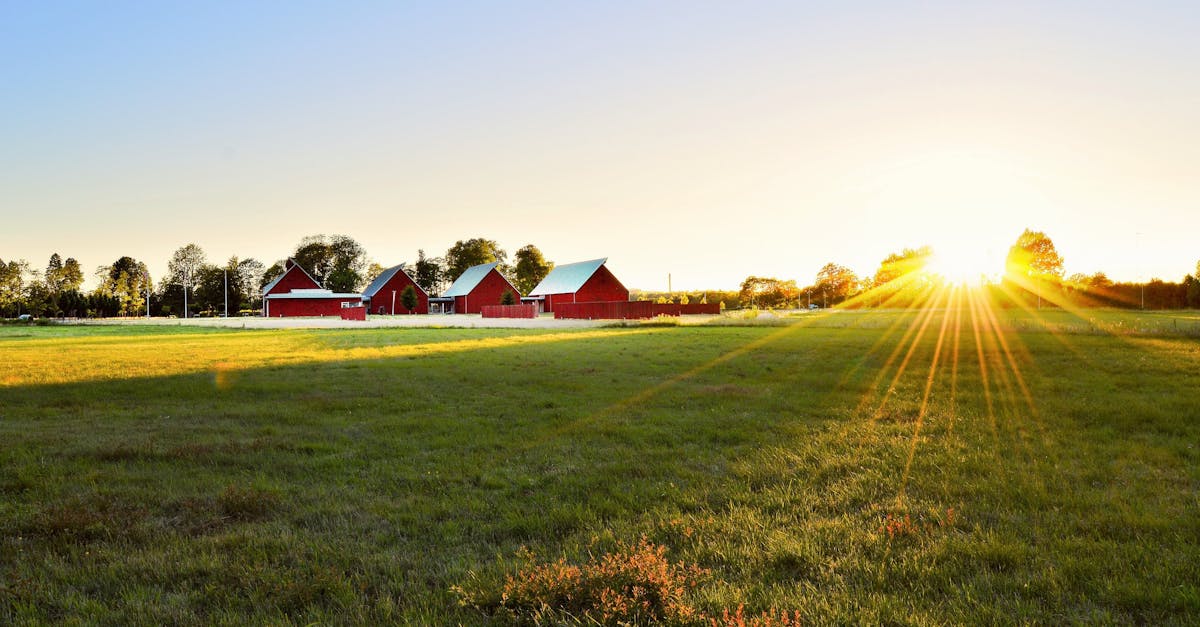 pexels-photo-1198507-1198507-1 Beautiful sunset over a rural farm in Sweden with red barns and lush fields.