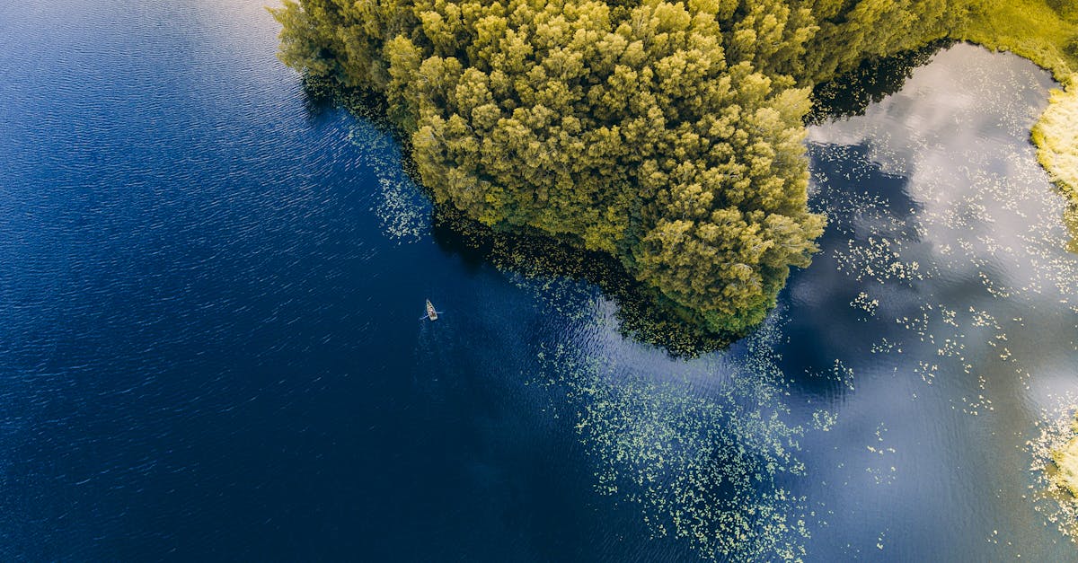 pexels-photo-1315891-1315891 Stunning aerial view of a lush forest bordering a serene lake in Plungė, Lithuania, highlighting nature's beauty.