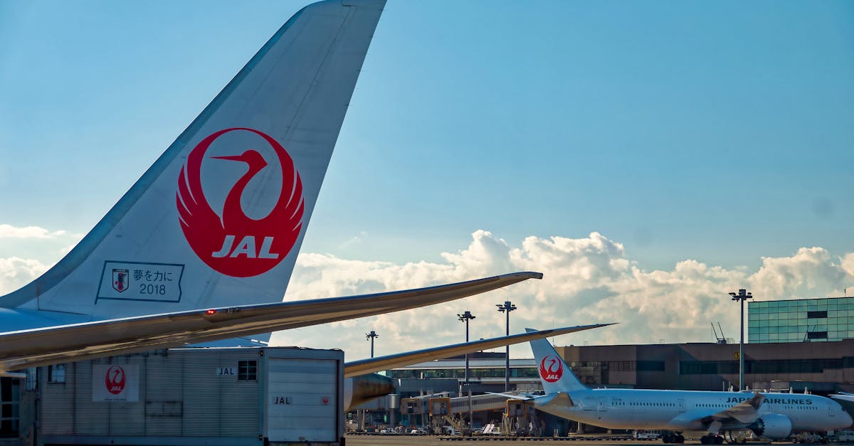 pexels-photo-1669945-1669945 Japan Airlines planes on tarmac at airport under clear blue sky.