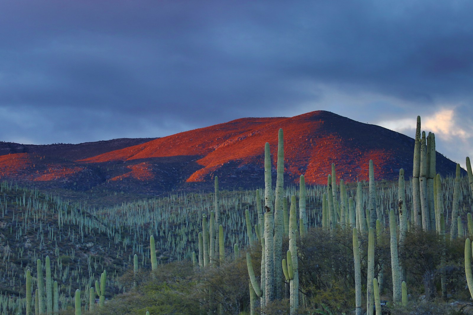 Photo by Andrés Sanz mountain peak during daytime