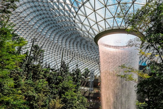 A Healthy Expat Life in Singapore